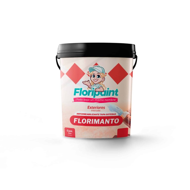 Pintura Elastomérica