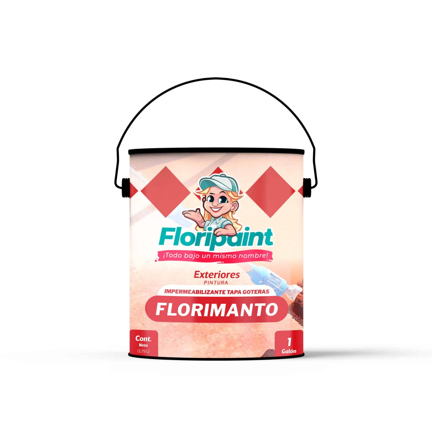 Pintura Elastomérica